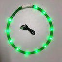 LED Dog Collar for Enhanced Night Safety and Visibility