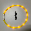 LED Dog Collar for Enhanced Night Safety and Visibility