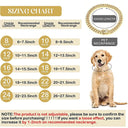 Luxury Gold Cuban Chain Dog Collar for Stylish Pets