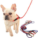 Chain Collar Leash Set For Large Dogs