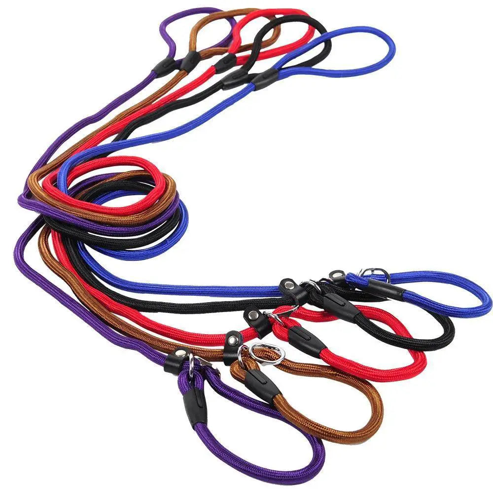 Golden Teddy Chain Collar Leash Set For Large Dogs