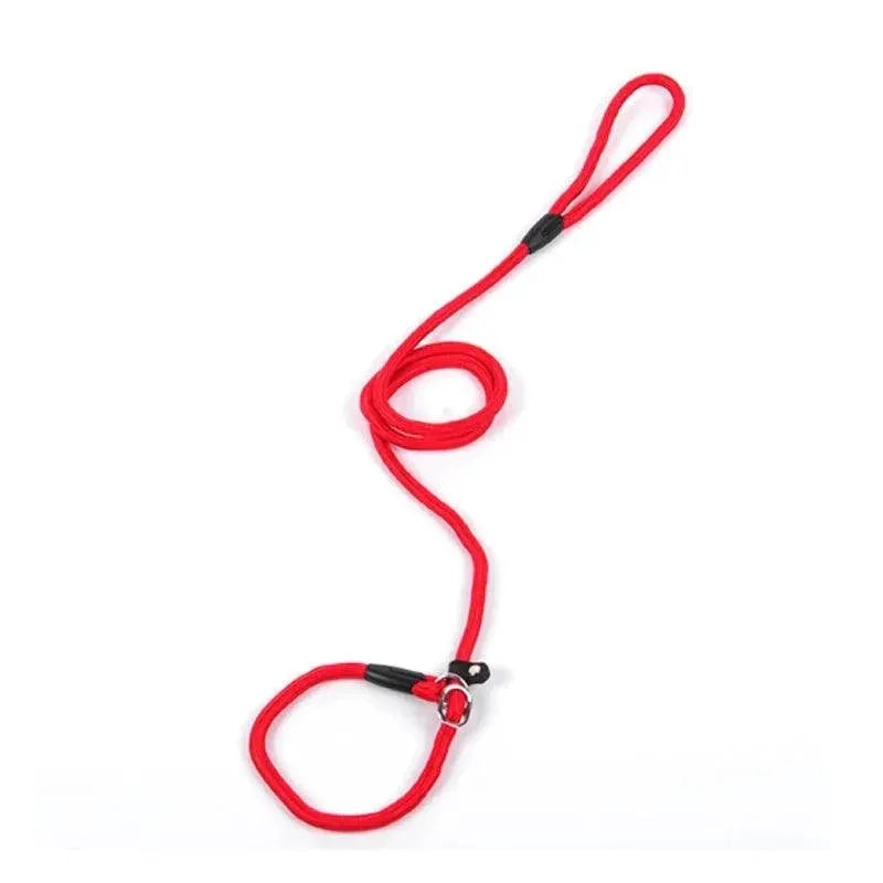 Golden Teddy Chain Collar Leash Set For Large Dogs