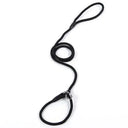 Chain Collar Leash Set For Large Dogs