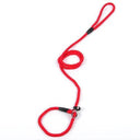 Chain Collar Leash Set For Large Dogs