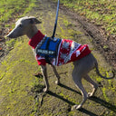 Warm Cozy Dog Sweater for Small Breeds
