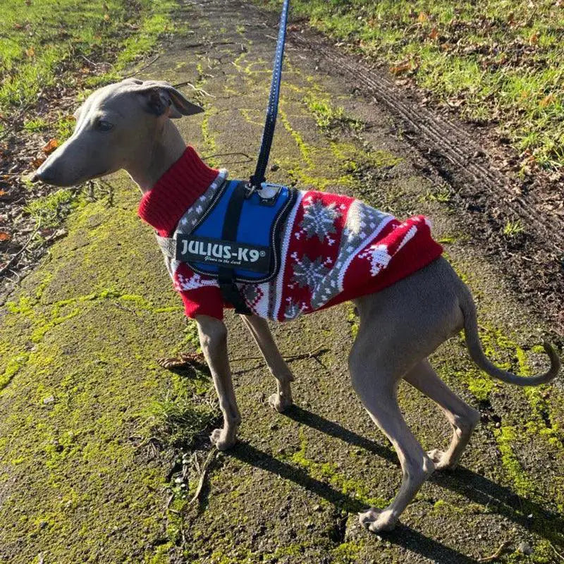 Cartoon Pet Dog Sweater For Small Breeds Winter Fashion