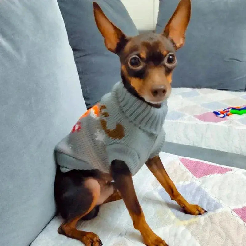 Cartoon Pet Dog Sweater For Small Breeds Winter Fashion
