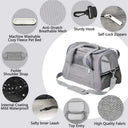 PawGlow Comfort Pet Carrier for Travel