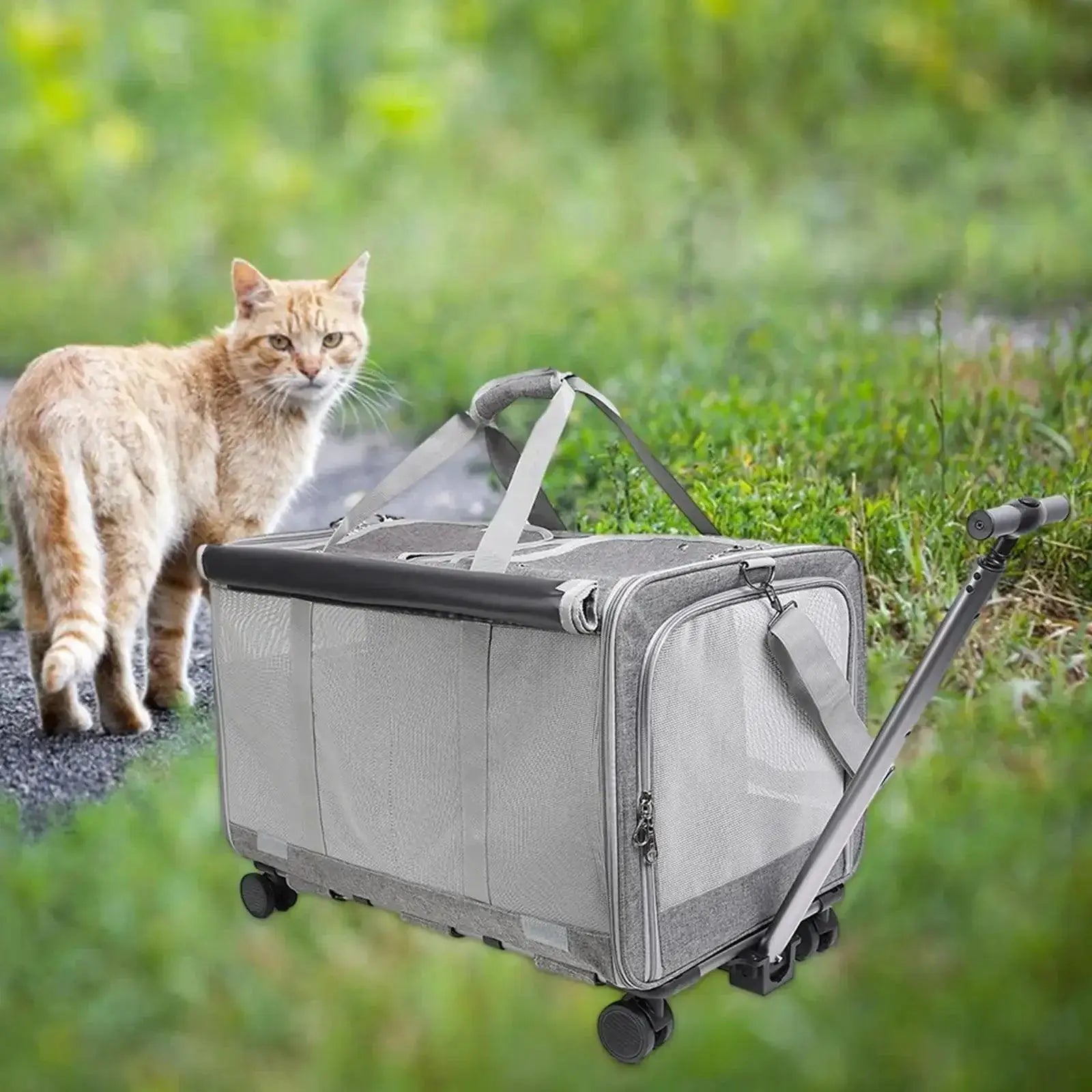 Rolling Pet Travel Carrier For Kittens And Puppies Durable