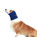 Calming Dog Ear Protection for Grooming