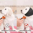 Calming Dog Ear Protection for Grooming