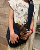 Breathable Pet Carrier Carryall for Pets