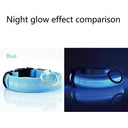 Illuminated Dog Collars For Nighttime Safety And Visibility