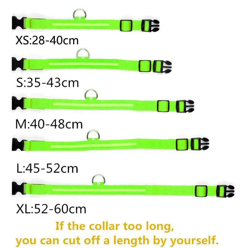 Illuminated Dog Collars For Nighttime Safety And Visibility