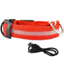 Illuminated Dog Collars For Nighttime Safety And Visibility