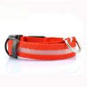 Illuminated Dog Collars For Nighttime Safety And Visibility