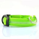 Illuminated Dog Collars For Nighttime Safety And Visibility