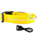 Illuminated Dog Collars For Nighttime Safety And Visibility