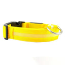 Illuminated Dog Collars For Nighttime Safety And Visibility