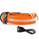 Illuminated Dog Collars For Nighttime Safety And Visibility