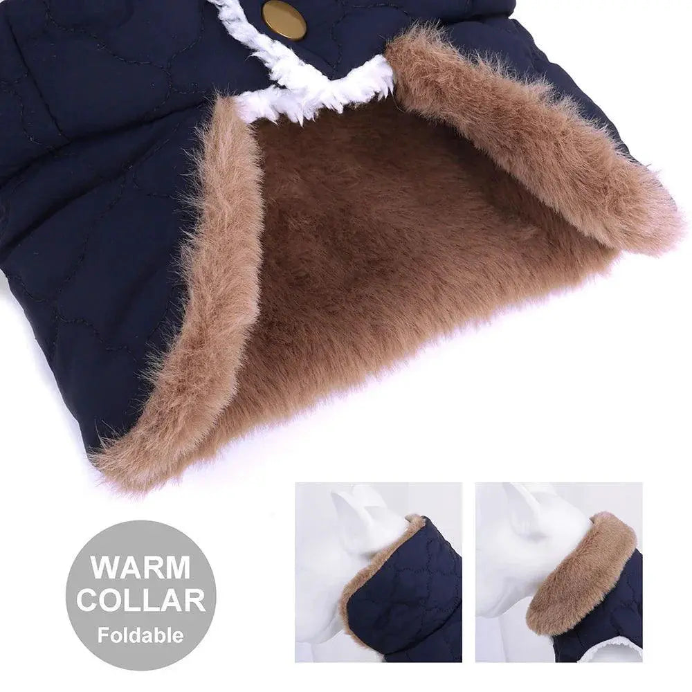 Winter Waterproof Pet Jacket With Fur Collar Cozy Stylish