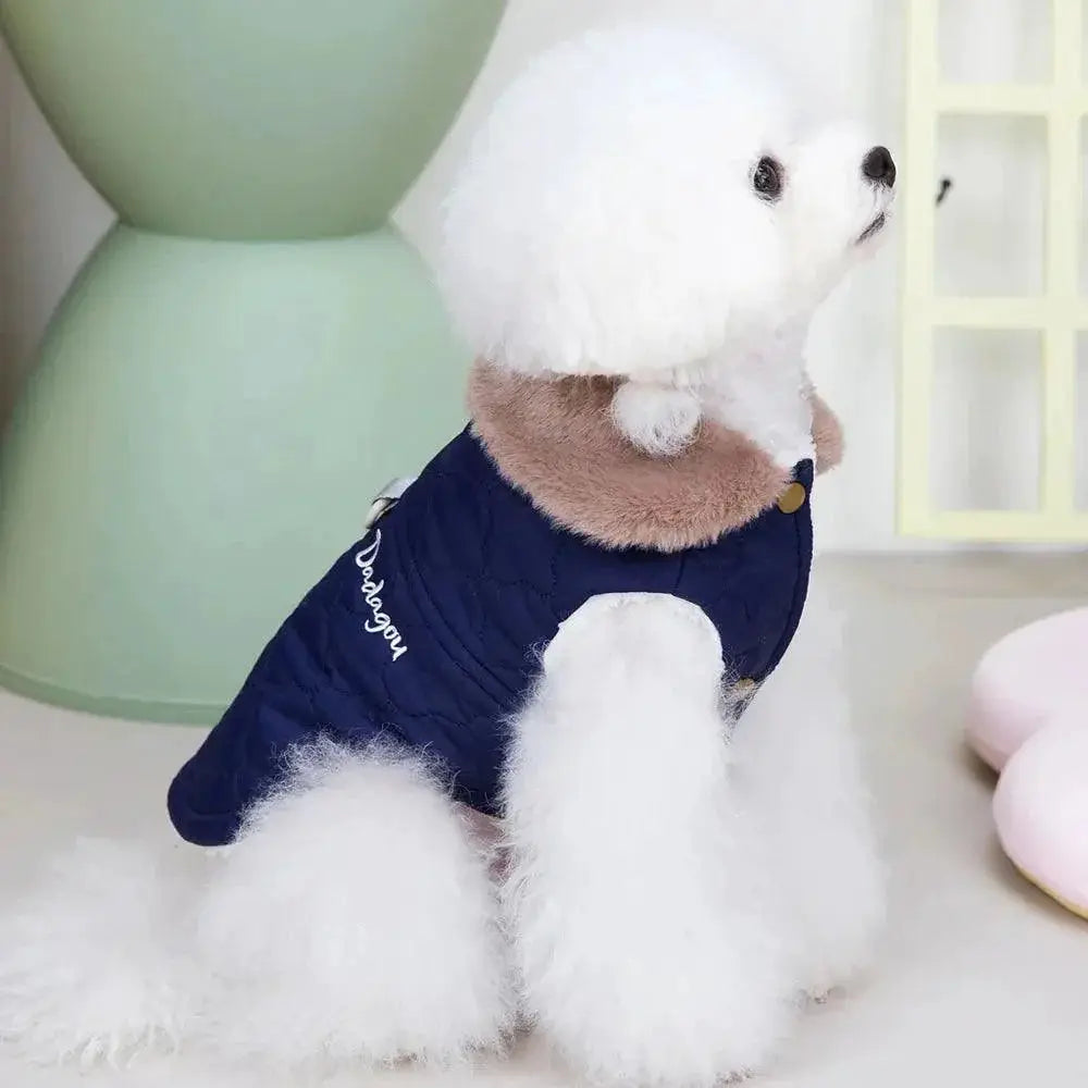 Winter Waterproof Pet Jacket With Fur Collar Cozy Stylish