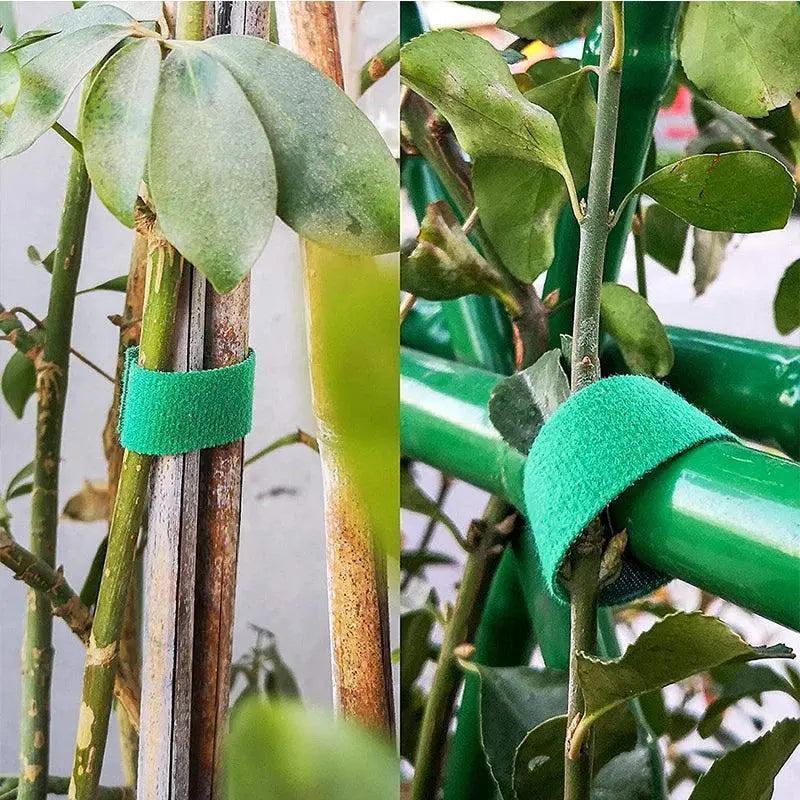 Green Nylon Plant Ties Durable Garden Plant Support