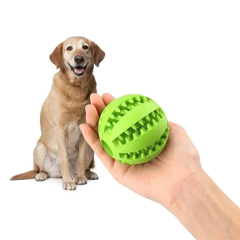 Interactive Rubber Chew Toy Balls for Pets Dental Health