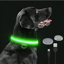 LED Light Up Dog Collar Customizable Night Safety Waterproof