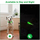 LED Light Up Dog Collar Customizable Night Safety Waterproof