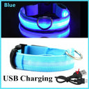 LED Light Up Dog Collar Customizable Night Safety Waterproof