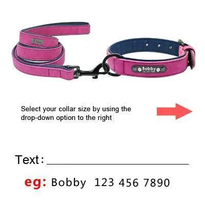 Luxury Leather Dog Collar and Leash Set for Fashionable Pets