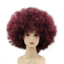 Lightweight Clown Wig for Party Fun