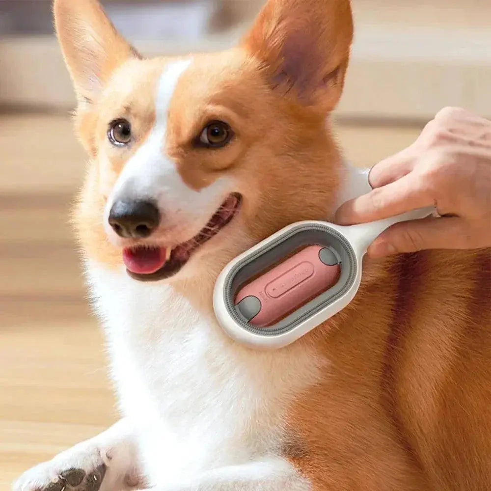 Cat Hair Removal Comb With Disposable Wipes For Grooming