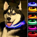 LED Light Up Pet Safety Collar For Stylish Dog Illumination