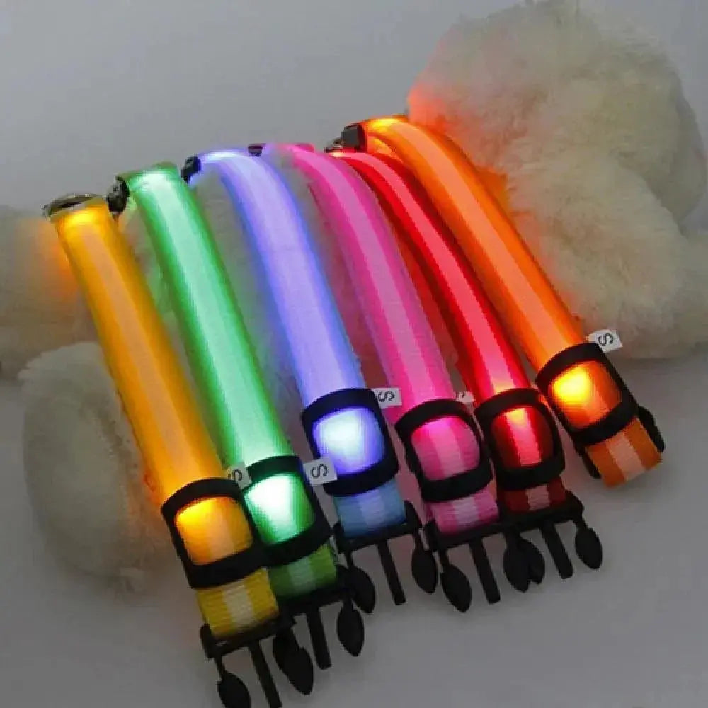LED Light Up Pet Safety Collar For Stylish Dog Illumination