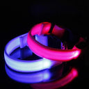 LED Light Up Pet Safety Collar For Stylish Dog Illumination