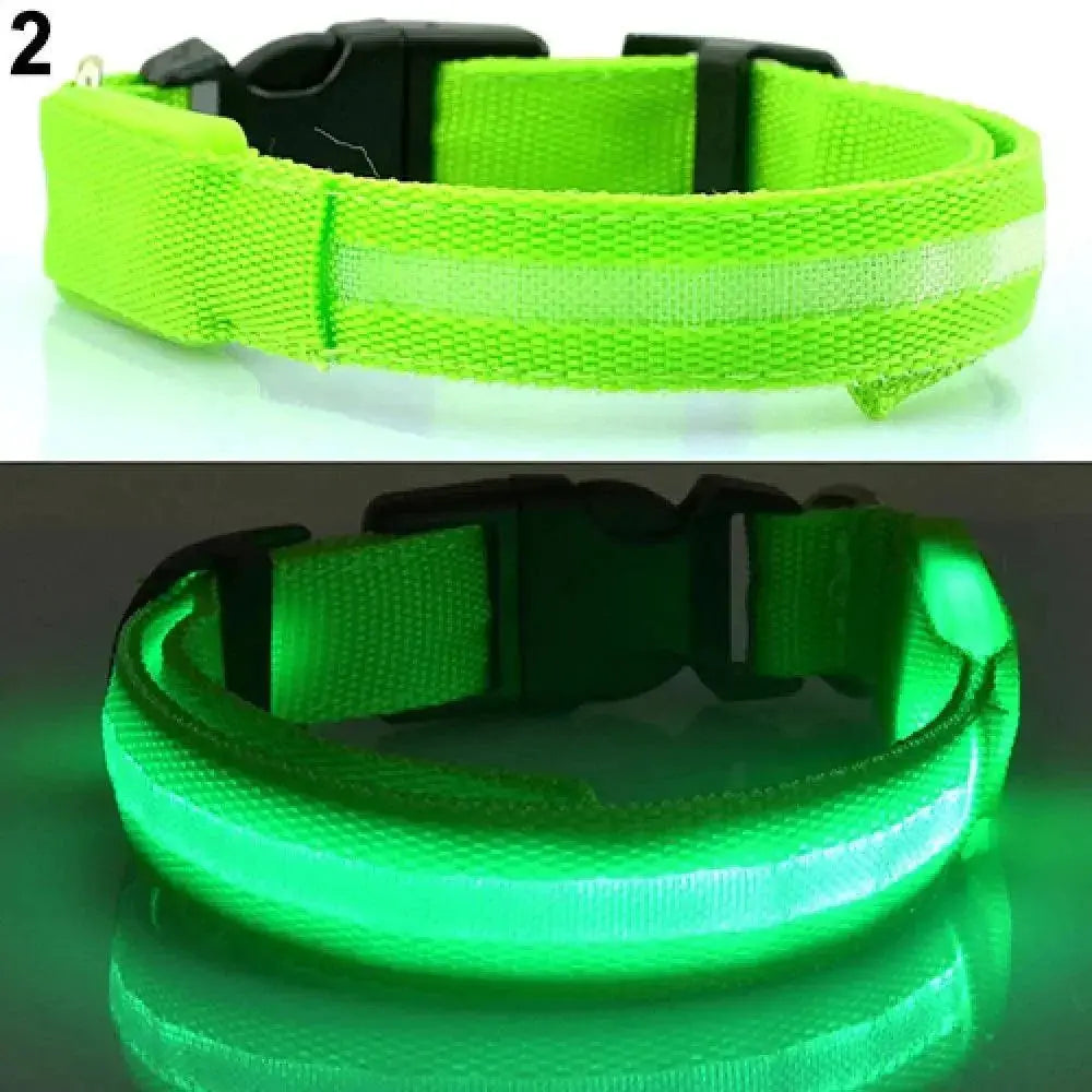 LED Light Up Pet Safety Collar For Stylish Dog Illumination