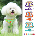 Pet Dog Harness And Leash Set With Reflective Safety