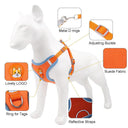 Pet Dog Harness And Leash Set With Reflective Safety