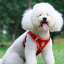 Pet Dog Harness And Leash Set With Reflective Safety