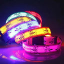 Night Safety LED Dog Collar for Walks