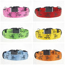 Night Safety LED Dog Collar for Walks
