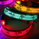 Night Safety LED Dog Collar for Walks