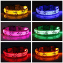 Night Safety LED Dog Collar for Walks