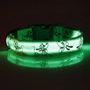 LED Dog Collar Glow In The Dark Nylon Safety Collar