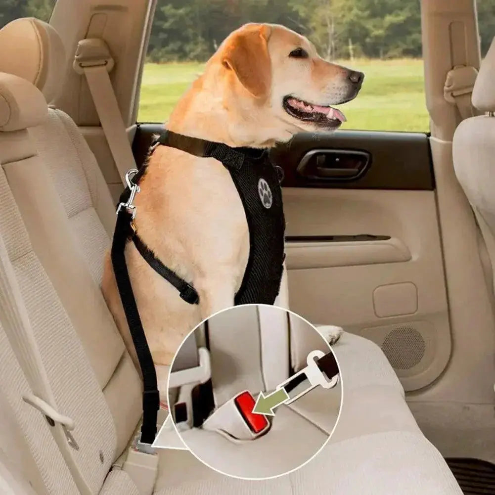 Adventure Dog Harness And Leash Set Outdoor Safety Upgrade