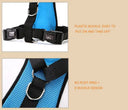 Outdoor Safety Harness for Active Dogs