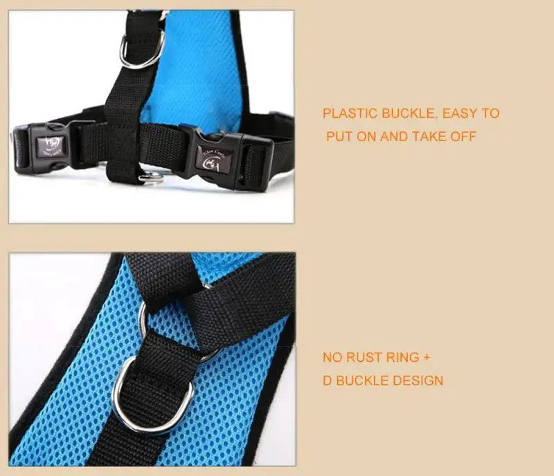 Adventure Dog Harness And Leash Set Outdoor Safety Upgrade