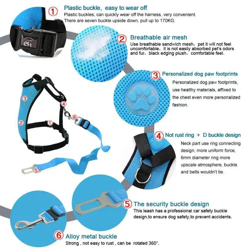 Adventure Dog Harness And Leash Set Outdoor Safety Upgrade